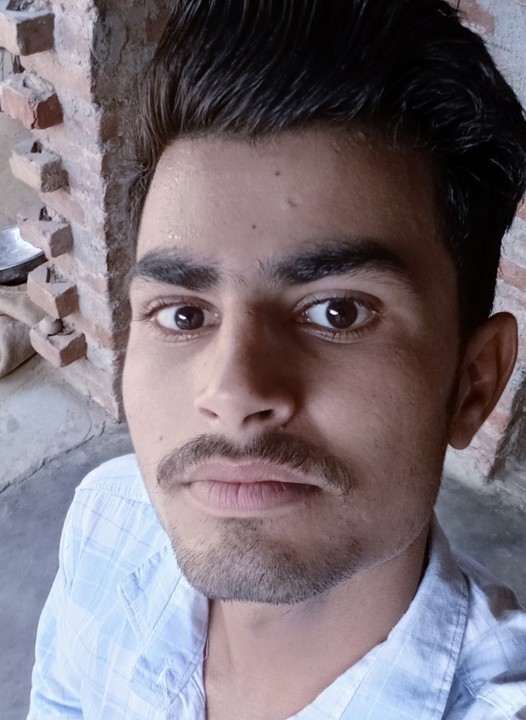 Neeleshpal8932