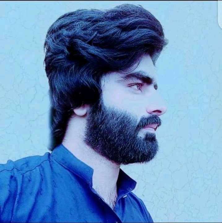 Bashir