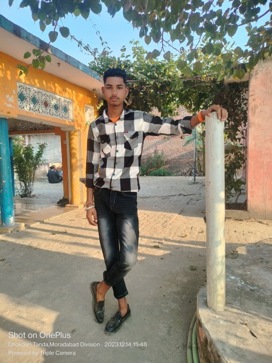 Saini