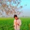 Ansh_Chaudhary