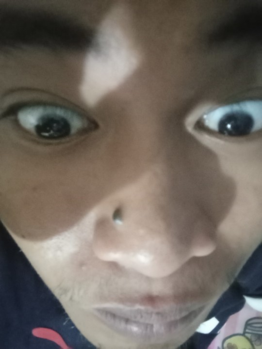 Markomuoliham