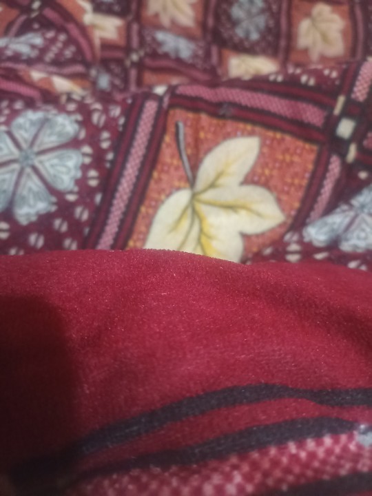 Laley Khan