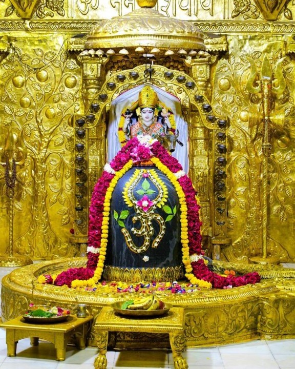 Amit8953003625
