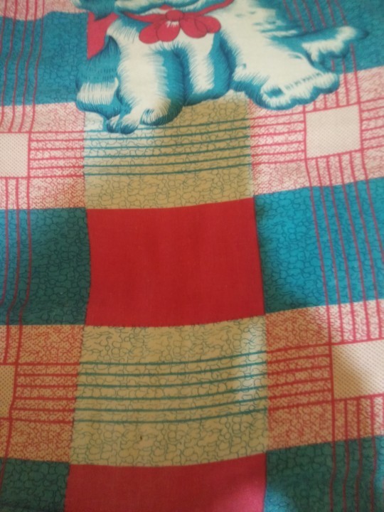 Sudhidapu