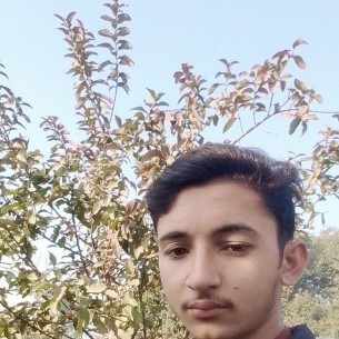 Gulfamjani