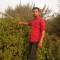 34567.Badal