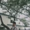 Pimpim21