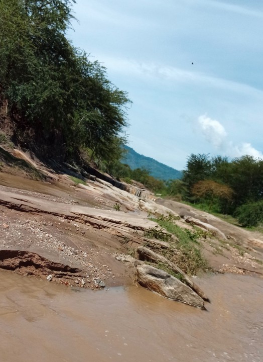 DanDanArap