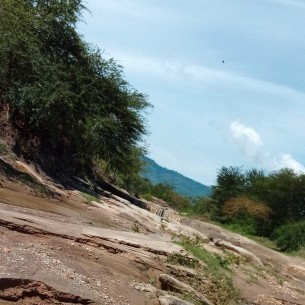 DanDanArap