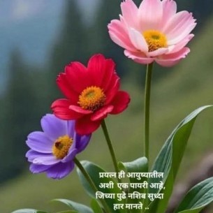 Jayshree7825